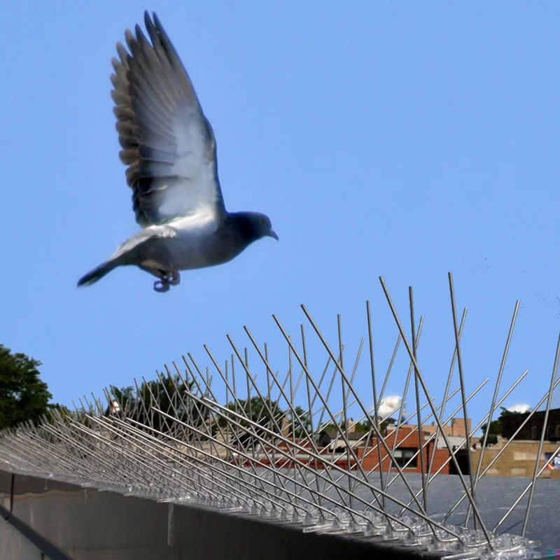 Bird-X Stainless Steel Spikes