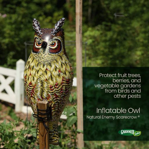 Dalen Gardeneer Natural Enemy Scarecrow Owl