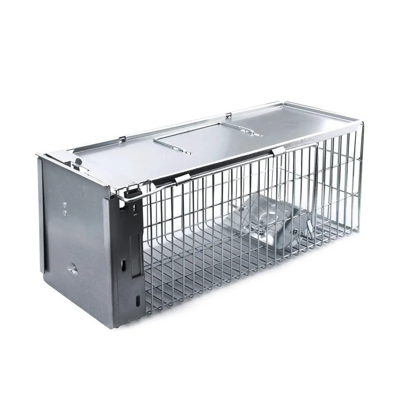 Faicuk Humane Squirrel Trap