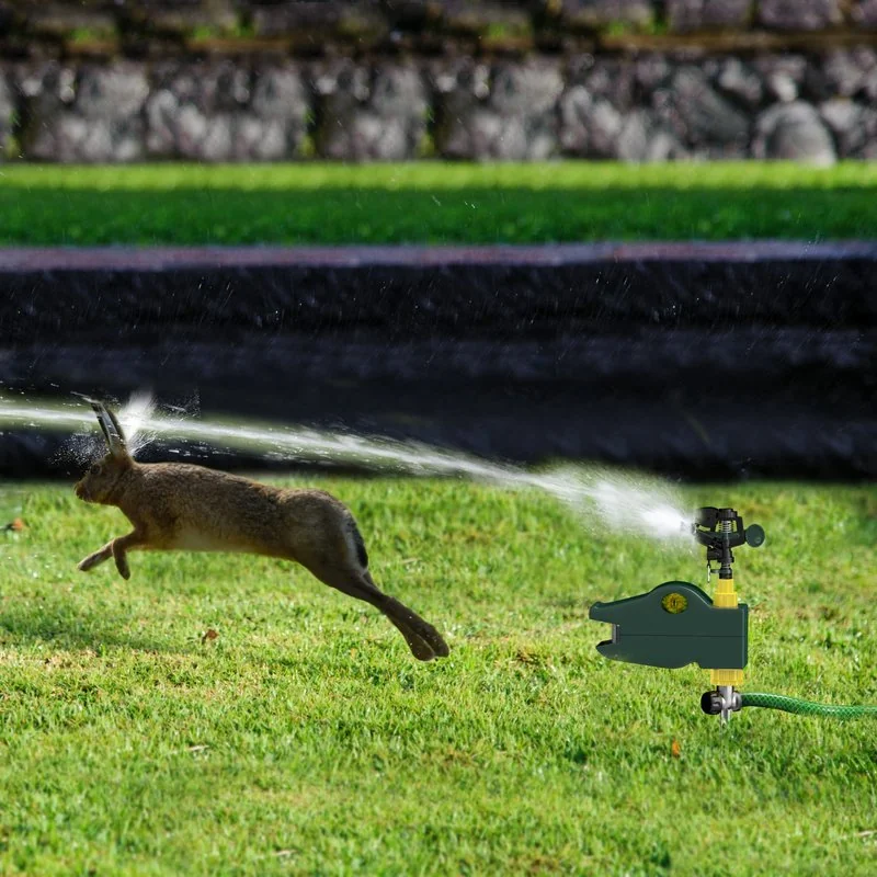 Hoont Motion-Activated Sprinkler