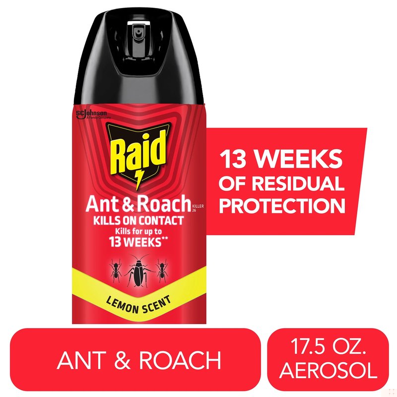 Raid Ant & Roach Killer Spray